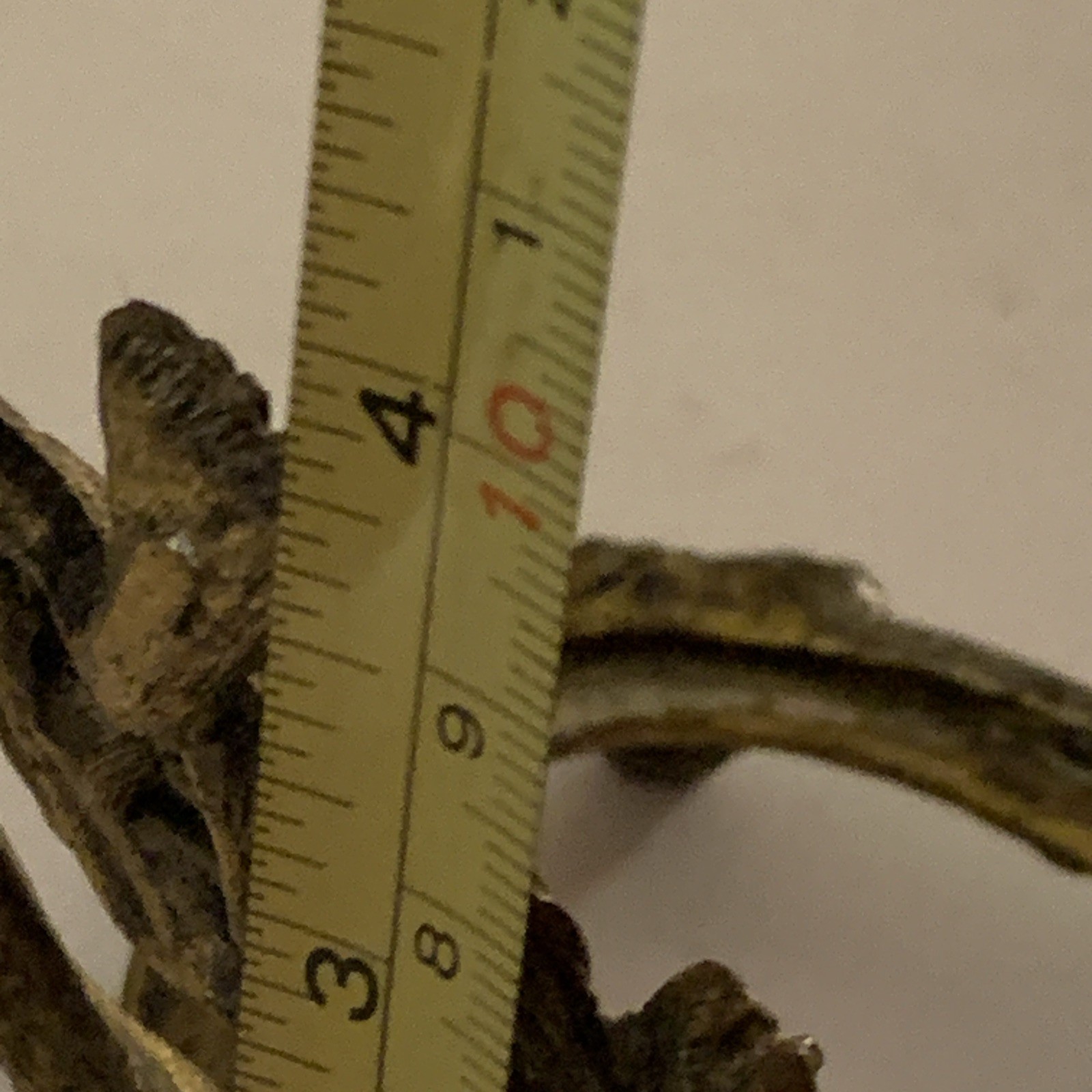 Bild 11 von 11