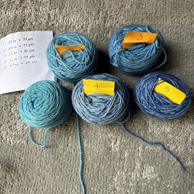 WONDERLAND YARNS Mad Hatter Color Morph #35  Pool Of Tears  5 Balls 100% Merino