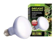 Exo Terra Daylight Basking Spot Lamp Bulb Reptile Lightning 50W/75W/100W