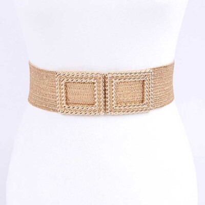 BNWT Brand New Metallic Straw Elastic Fashion Belt