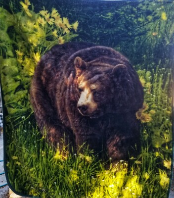 Bear Plush Blanket Throw 50x60 Northwest Daniel Smith