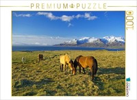 Calvendo Puzzle Vast Pastures Near Akureyri | 1000 Pieces, Finished Size 25.2 ×