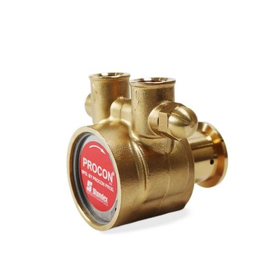 PROCON 114B240F11BA - 1/2'' NPT Brass Rotary Vane Pump Series 4