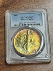 1987 American Silver Eagle PCGS MS67 Monster Toning Toned Coin (Slab1053) (TNO)