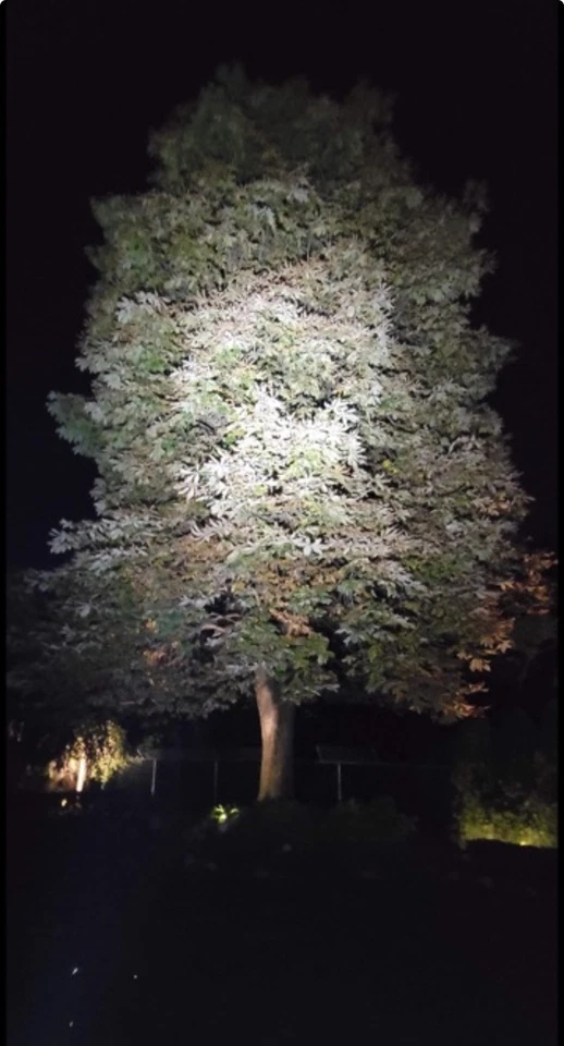 Silva Trail Speed 4XT - Изображение 4 из 4