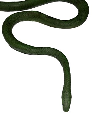 RUBBER (AAA) STRETCH GREEN GARDEN SNAKE VTG TOY (STRETCHES 4FT) | eBay