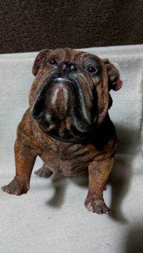 1/6 DRAGON IN DREAMS DRAGON WW II PAINTED COMPANY BULLDOG DOG - Imagen 10 de 10