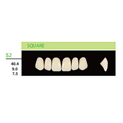 Denture Teeth, Synthetic Resin Upper A1 S2 Square Anteriors, False Teeth