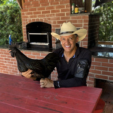 Ayam Cemani Rare Black Chicken HATCHING EGGS 6 2 BLACK TOUNGE