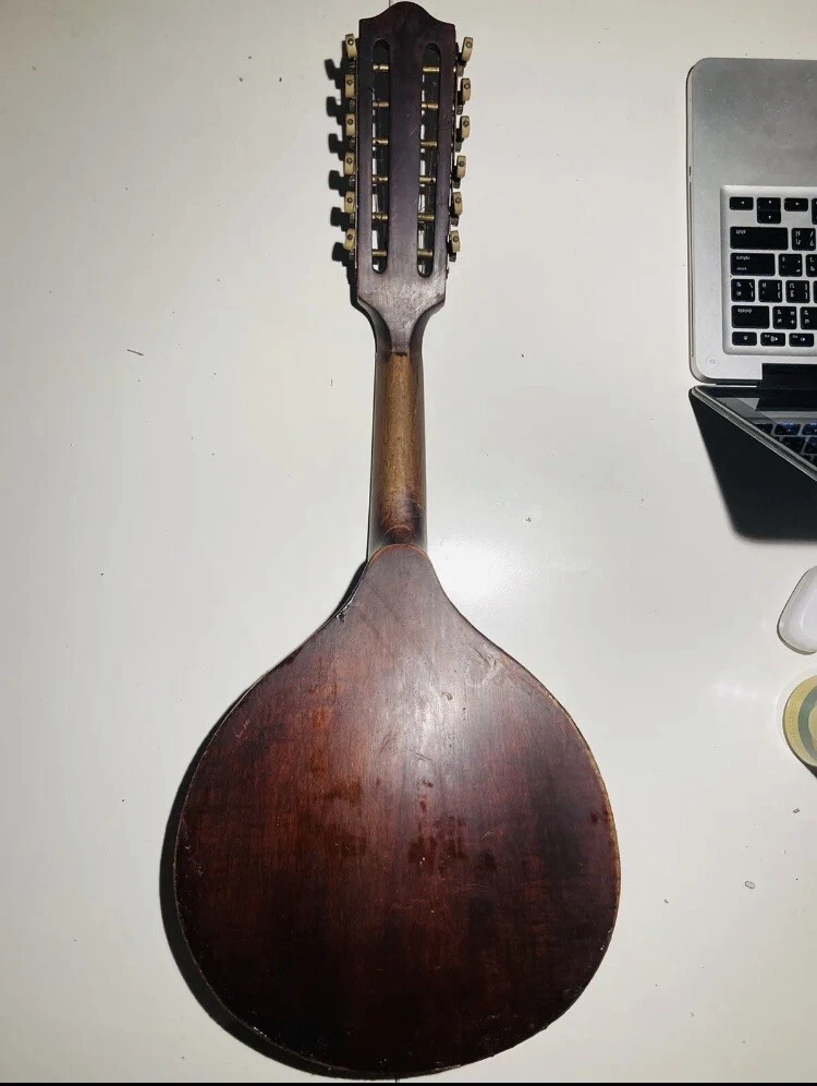 12 2024 string mandolin