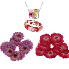 20 St&uuml;ck getrocknete echte Blumen G&auml;nsebl&uuml;mchen Rose getrocknete gepresste Blumen Schmuckzubeh&ouml;r