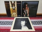 Linda Ronstadt Vinyl Lot – Heart Like A Wheel, Living In The USA, Hasten Down VG