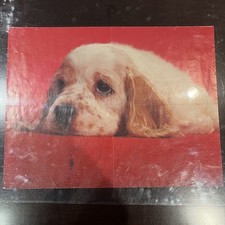 Vintage 1977 Sad Puppy Poster XEROX Education #1799 Davis Delaney Arrow 16" x21"
