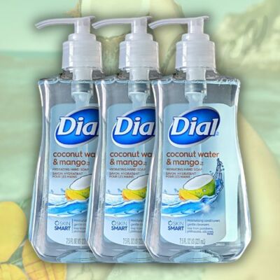 Dial Antibacterial Liquid Hand Soap Refill, Gold, 52 Fluid Ounces (Pack...