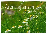 "Calendar 2027 · US Version · Medicinal Plants (Wall Calendar 2027 17\" × 12\" Land"