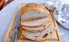 SOURDOUGH STARTER Dehydrated Sour 150 Yrs Old SAN FRANCISCO - 15 Gram Bag
