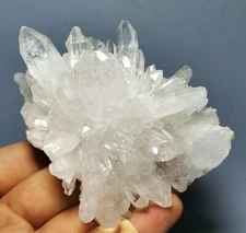 Natural Clear White Chrysanthemum Crystal Himalayan Quartz Cluster/Mineral
