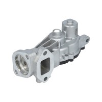 AGR Ventil Delphi EG10459-12B1
