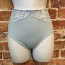 Rhonda Shear Light Blue Lace Overlay Seamless Ahh Brief Panties New