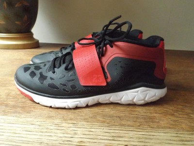 jordan flight flex 12