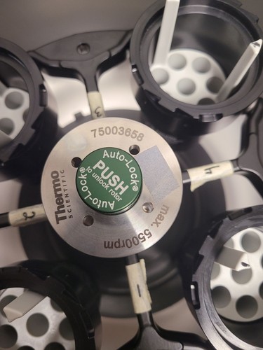 Centrífuga Thermo Scientific Sorvall ST16 con rotor 75003658 4 cubos 75003659, - Imagen 5 de 6