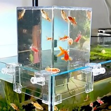 Above Water Fish Tank Fish Elevator Inverted Aquarium Clear Fish Tank Decor