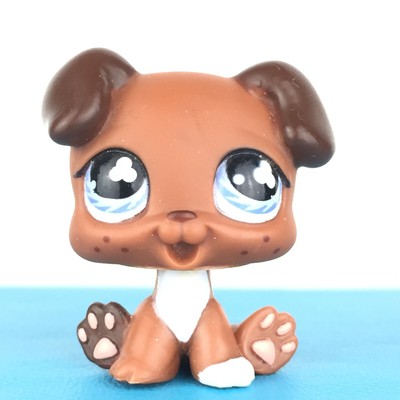 lps puppy