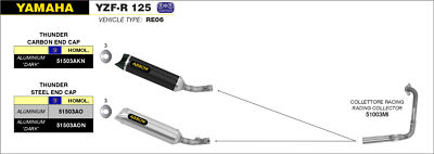 Auspuffanlage Komplett Genehmigt THUNDER Aluminium ARROW Yamaha R 125 08-13