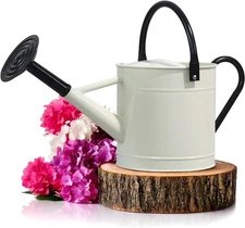 Plexon 1 Gallon Metal Watering Can Outdoor, Flower Plant Gardening Off-white 