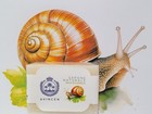 Sapone Artigianale BAVA DI LUMACA Avincen