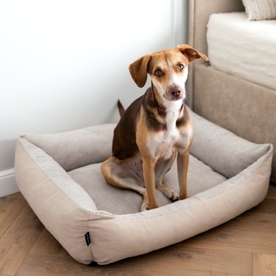 4L Textil TEO Kuscheliges Hundebett waschbar Hundekorb mittelgroße Hunde weich