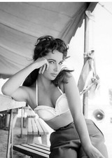 Movie Star Elizabeth Taylor Circa 1956 publicity still Re-Print 5x7