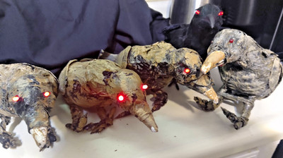 Halloween Animatronic Tekky Toys 4 Dead Crows Blinking Eyes + 1 Black Crow Props