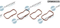 Dichtungssatz, AnsaugkrÜMmer FÜR Mazda - Dr.Motor Automotive DRM0853S