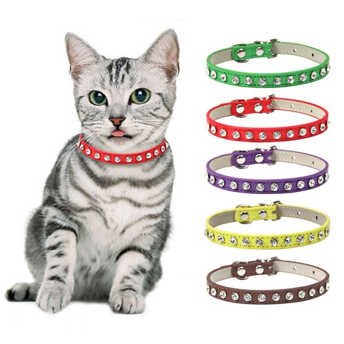 kitten collar ebay