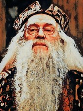 Tarjeta HARRY POTTER IMÁN NEVERA plástico laminado 2.x3. pulgadas aprox 