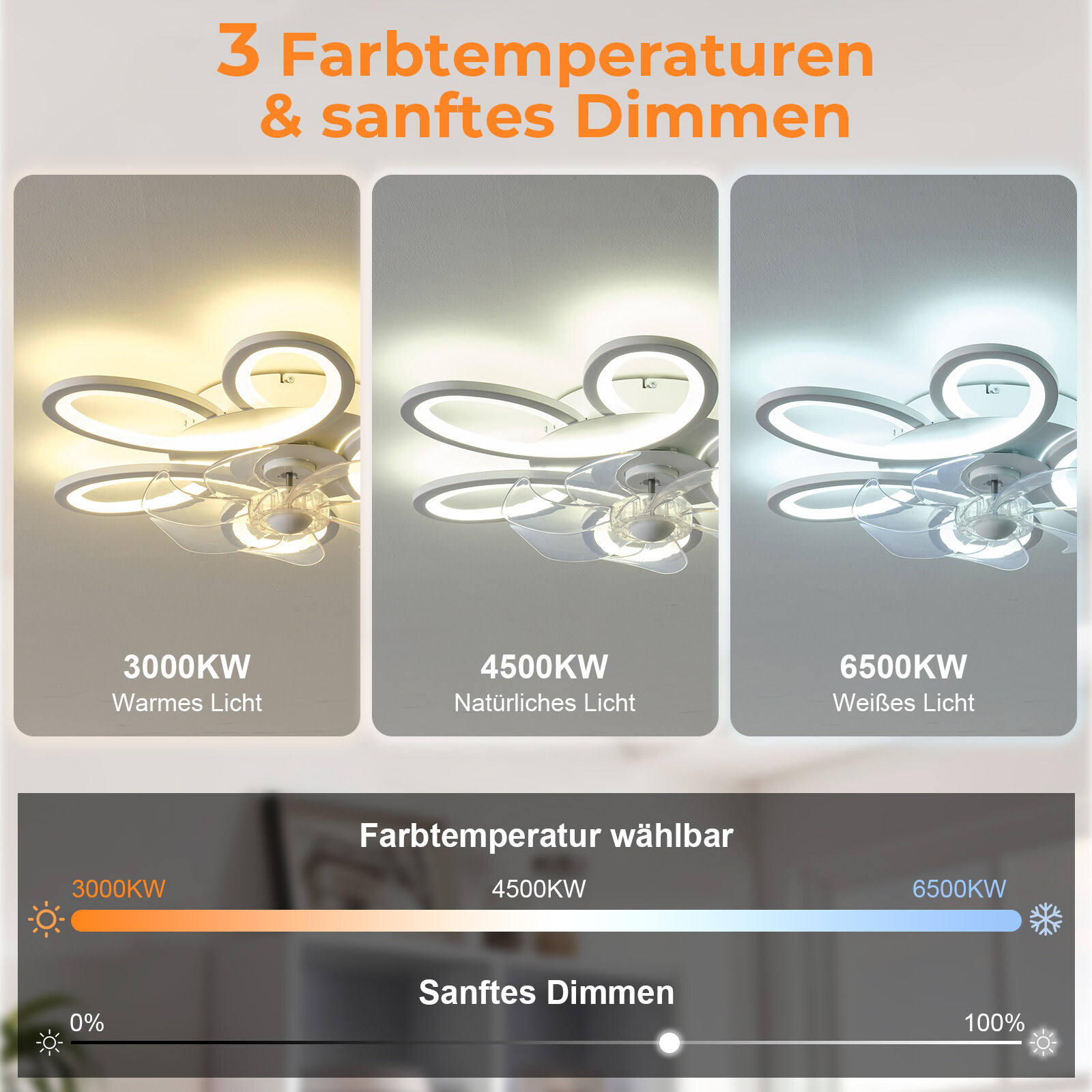Bild 2 von 10