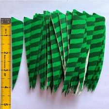50PCS 4inch Striped Light Green Shield Vanes Fletches Feathers Fletching RW LW