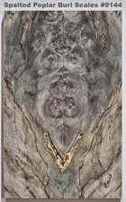 Outstanding Stabilized Spalted Poplar Burl scales #9144, 6 3/8 x 1 15/16 x 3/8+"