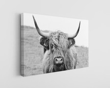 Highland Cow Canvas Black White Farmhouse Decor Rustic Animal Print