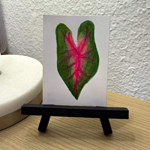 ACEO Original Caladium Leaf, Alcohol Marker & Watercolor Pencils, Signed OOAK