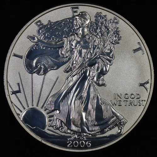 2006 1 OZ SILVER COIN ✪ REVERSE PROOF SILVER EAGLE ✪ COIN ONLY 999 FINE◢TRUSTED◣
