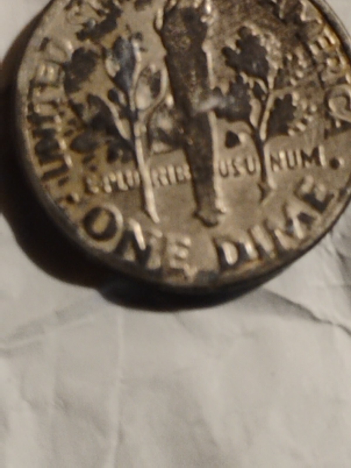 Picture 10 of 11