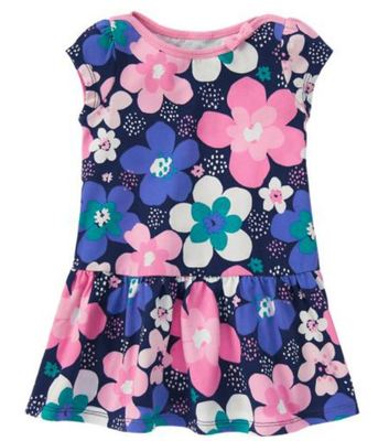 Gymboree Mix n Match Wildflowers Dress Pink Blue Size 3T 4T 5T MSRP $27 ...