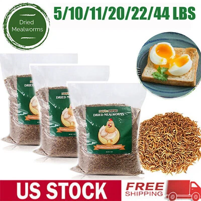 LUCKYQ 5-44LBS Bulk Dried Mealworms High Protein Non-GMO Wild Birds Fish Treats USA