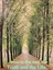 Path to great findings