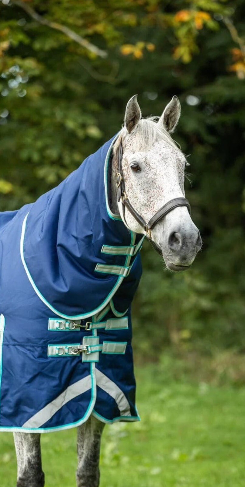 Swish Heavyweight Turnout Rug 6’9 eBay