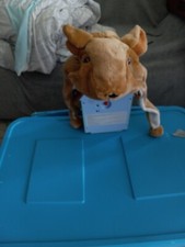 Plush Fleece Animal Hat With Ears Kangaroo Ends Can Be Tucked To Close