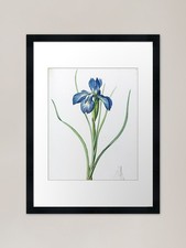 Blooming Nature Barenaked Ladies Ba Framed Wall Art Poster Canvas Print Picture