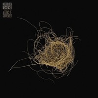 Hiss Golden Messenger: Terms Of Surrender - 375 Media - (Lp / T)